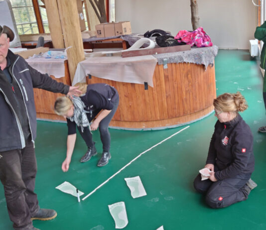 Nowy budynek wejścia do goerlitzkiego zoo
