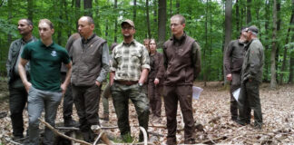 Szkolenie dla leśników z Nadleśnictwa Sulęcin