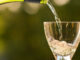 Wino