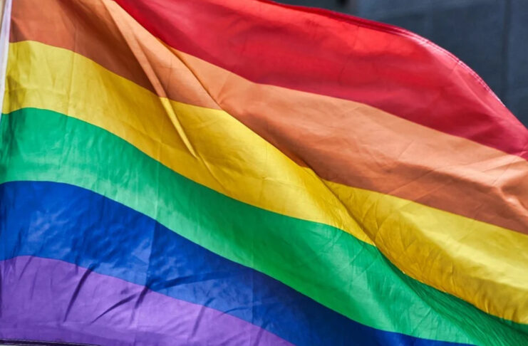 Tęczowa flaga, LGBTQ+