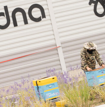 Pasieka w Focus Mall ma już za sobą pierwsze miodobranie Pasieka w Focus Mall Zielona Góra