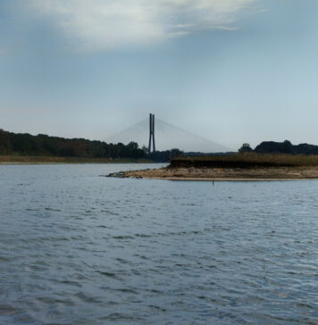 Odra w okolicach Wrocławia