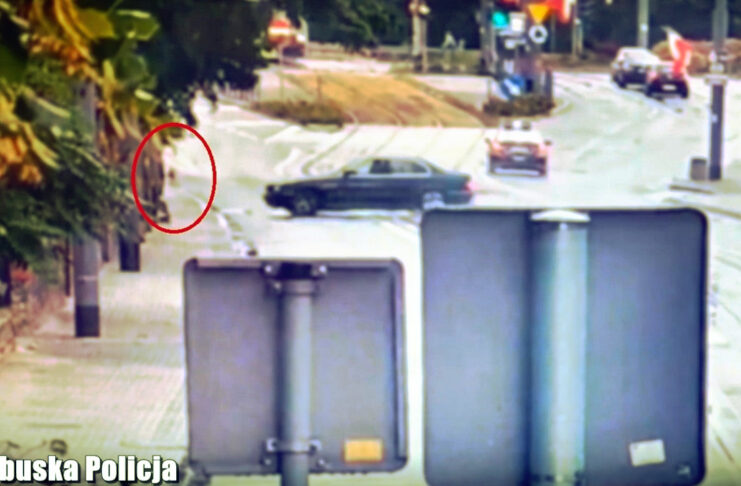 Potrącenie w Gorzowie Wlkp.