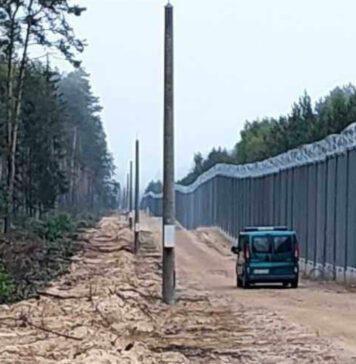 Funkcjonariusze z Nadodrzańskiego Oddziału SG na granicy wschodniej Mur na granicy z Białorusią