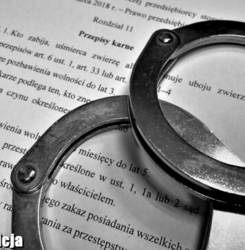 Koszmar, 65-latek powiesił psa na drzewie. Miał znaleźć mu nowy dom Ustawa o ochronie zwierząt