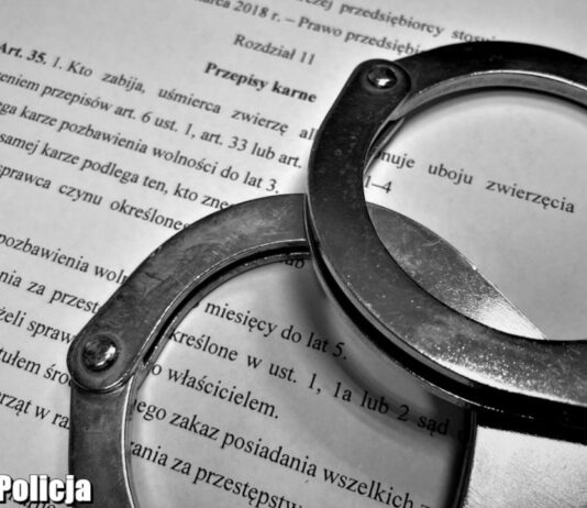 Koszmar, 65-latek powiesił psa na drzewie. Miał znaleźć mu nowy dom Ustawa o ochronie zwierząt