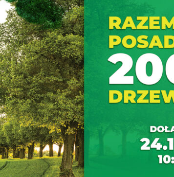 Akcja sadzenia drzew pod Zieloną Górą