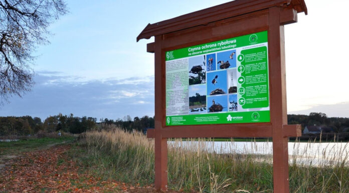 Nowe tablice informacyjne i edukacyjne na terenie obszarów Natura 2000 w Lubuskiem Nowe tablice informacyjne i edukacyjne na terenie obszarów Natura 2000 w Lubuskiem