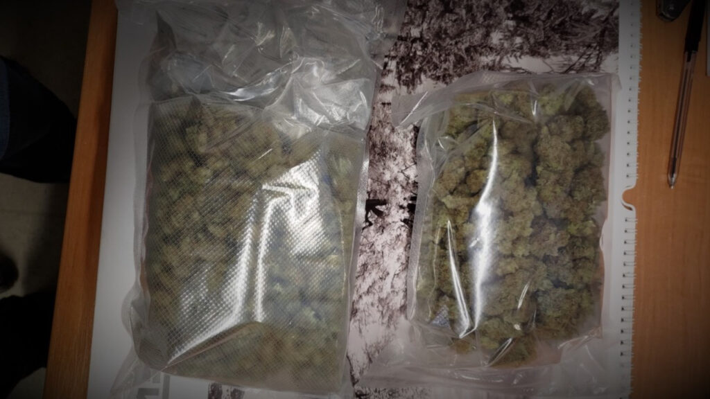 Ponad 200 gram marihuany w bagażniku. Kilka osób zatrzymanych za wprowadzanie narkotyków na czarny rynek