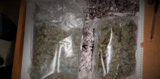 200 gram marihuany ujawnionej przez policjantów z Międzyrzecza
