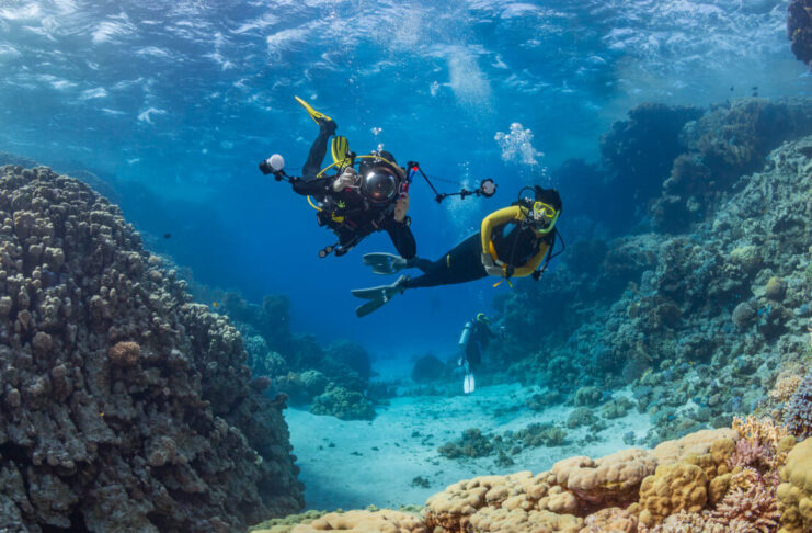 Sklep nurkowy – w co szczególnie warto się wyposażyć?