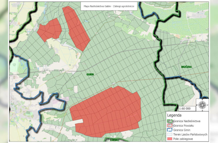 Gubin: Zakaz wstępu do lasu, leśnicy prowadzą opryski Gubin: Zakaz wstępu do lasu, leśnicy prowadzą opryski
