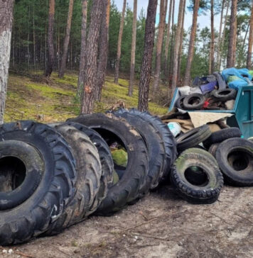 Druga edycja akcji Kręci nas Recykling 2023 to ogromny sukces! Teraz zebrane opony zamienią się w drzewa Opony i śmieci zebranie podczas akcji Kręci nas Recykling 2023 w Siedlisku