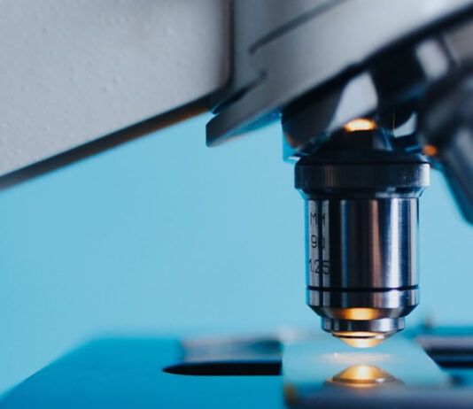 Nowe programy FNP. Fundacja na rzecz Nauki Polskiej zapowiada wsparcie dla innowacyjnych projektów Mikroskop