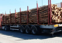 Ciężarówka z drewnem zatrzymana przez inspektorów ITD na S3 pod Gorzowem