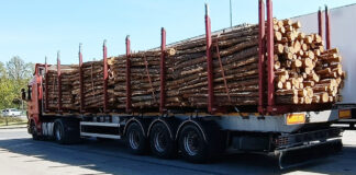Ciężarówka z drewnem zatrzymana przez inspektorów ITD na S3 pod Gorzowem