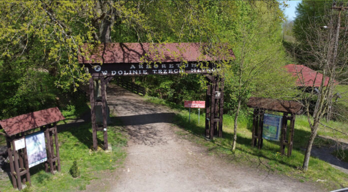 Arboretum w Dolinie Trzech Młynów