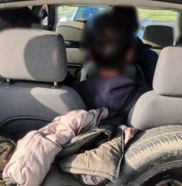 Kolejna grupa migrantów zatrzymana w drodze do punktu przerzutowego na granicy