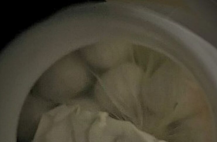 Heroina w butelce po jogurcie