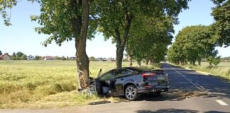 Śmiertelny wypadek na trasie Konradowo-Stare Drzewce. 44-latek zmarł na miejscu