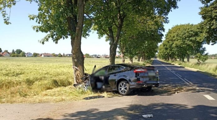 Śmiertelny wypadek na trasie Konradowo-Stare Drzewce. 44-latek zmarł na miejscu