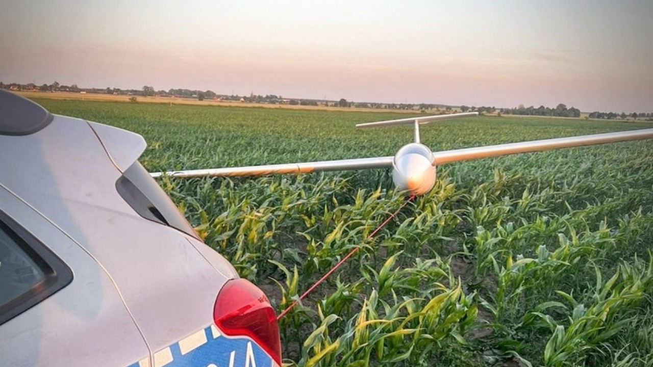 Konradowo: Szybowiec wylądował w polu kukurydzy