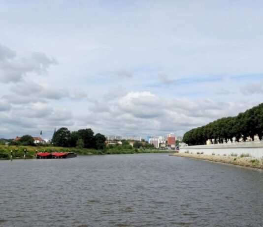 Odra w Słubicach - widok z portu