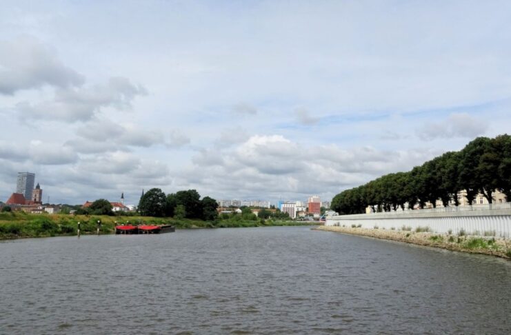 Odra w Słubicach - widok z portu