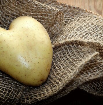 Ziemniak w kształcie serca