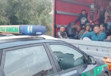 Akcja SG w Kostrzynie nad Odrą - 36 nielegalnych migrantów zatrzymanych w drodze do Niemiec