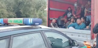 Akcja SG w Kostrzynie nad Odrą - 36 nielegalnych migrantów zatrzymanych w drodze do Niemiec