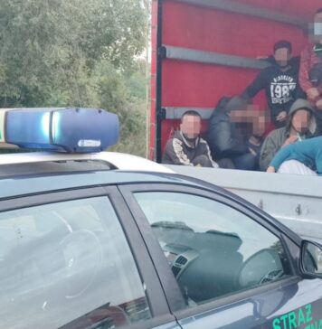 Akcja SG w Kostrzynie nad Odrą - 36 nielegalnych migrantów zatrzymanych w drodze do Niemiec