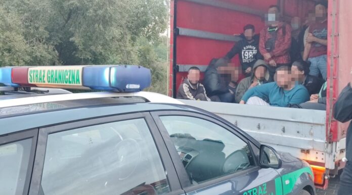 Akcja SG w Kostrzynie nad Odrą - 36 nielegalnych migrantów zatrzymanych w drodze do Niemiec