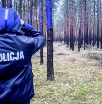 Poszukiwania grzybiarzy