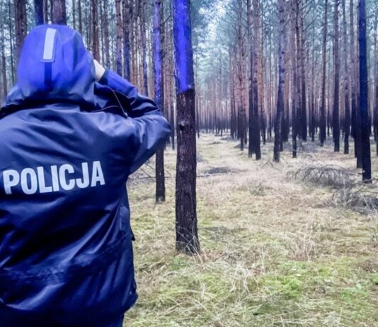 Szczęśliwy finał poszukiwań seniorów, którzy zgubili się na grzybobraniu Poszukiwania grzybiarzy