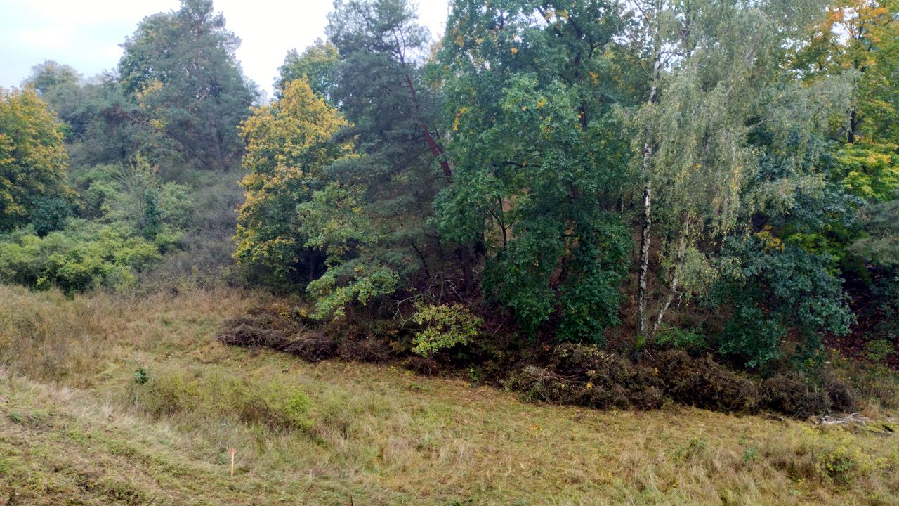 Zakończono działania ochronne w rezerwatach Pamięcin i Woskownica