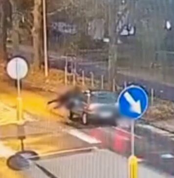 Potrącenie na przejściu w Gorzowie. Policja publikuje nagranie „ku przestrodze” Potrącenie na przejściu w Gorzowie. Policja publikuje nagranie „ku przestrodze”