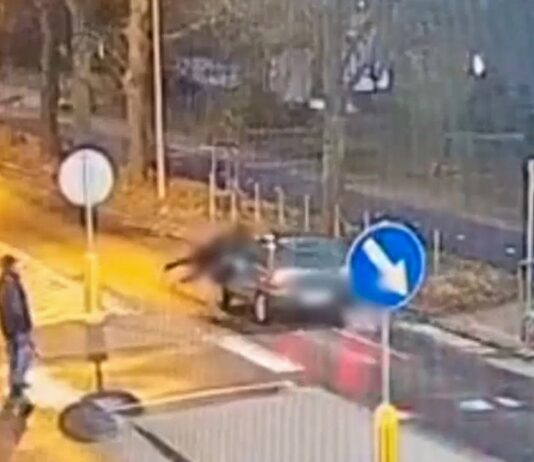 Potrącenie na przejściu w Gorzowie. Policja publikuje nagranie „ku przestrodze”