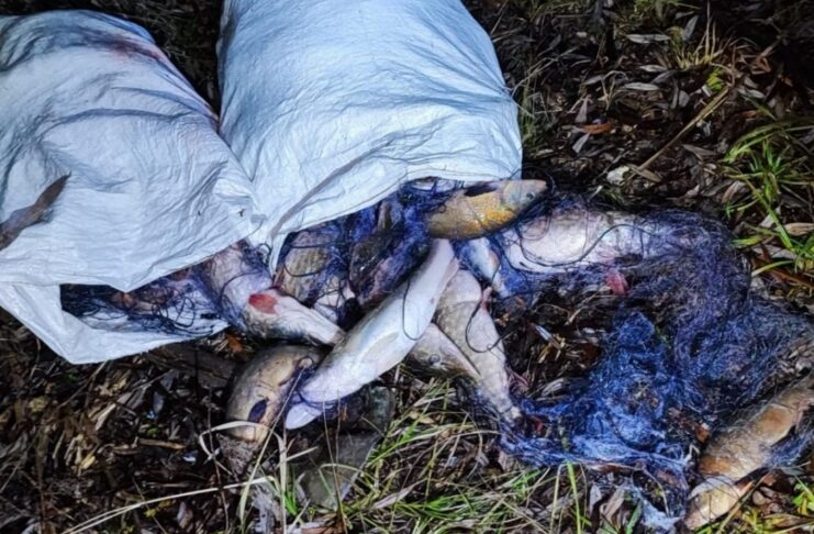 Nielegalny połów ryb – kłusownicy zatrzymani na gorącym uczynku Nielegalny połów ryb - kłusownicy zatrzymani na gorącym uczynku