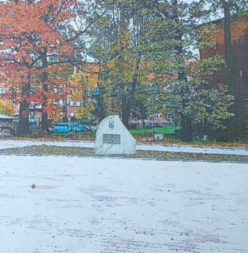 W Szprotawie powstanie pomnik Niepodległej W Szprotawie powstanie pomnik Niepodległej