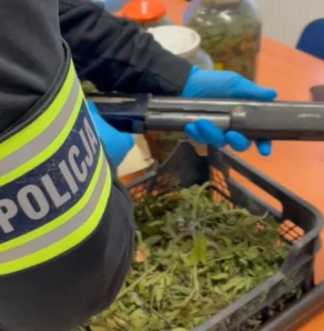 Kryminalni zabezpieczyli ponad 1,5 kg narkotyków, nielegalną broń i amunicję - 69-latek zatrzymany