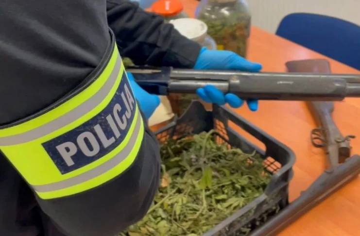 Kryminalni zabezpieczyli ponad 1,5 kg narkotyków, nielegalną broń i amunicję - 69-latek zatrzymany