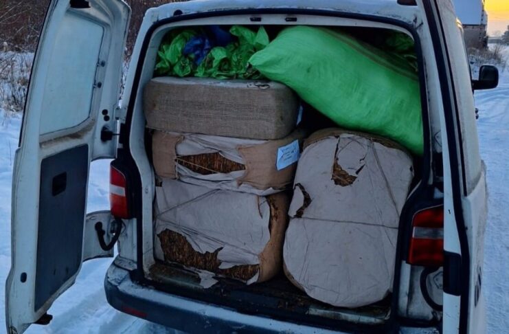 Nielegalny tytoń wart pół miliona złotych