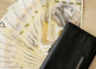 Policjanci odzyskali skradziony portfel seniorki - kobieta trzymała w nim sporo pieniędzy