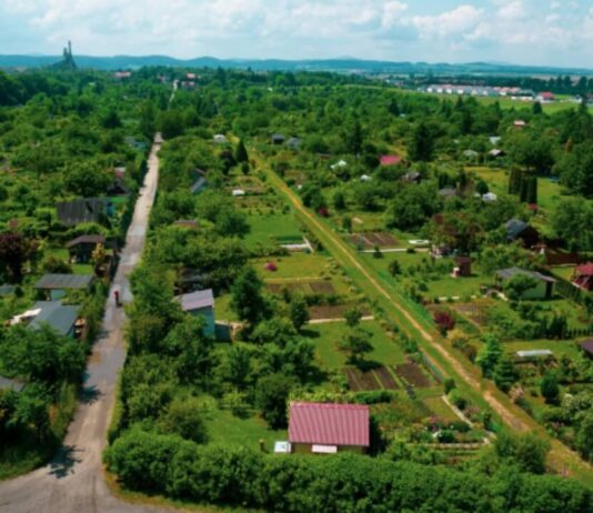 Przyznano miejskie dotacje dla rodzinnych ogrodów działkowych