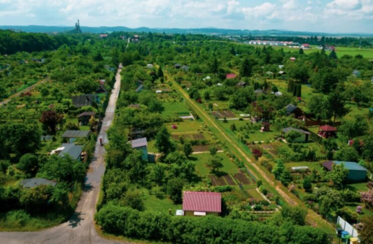 Przyznano miejskie dotacje dla rodzinnych ogrodów działkowych Przyznano miejskie dotacje dla rodzinnych ogrodów działkowych