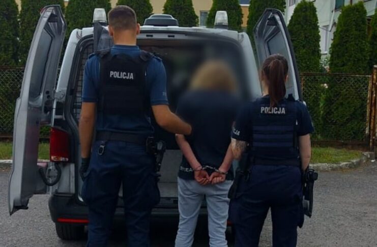 Bracia aresztowani za kradzieże z trafostacji. Do zatrzymania doprowadził policyjny pies