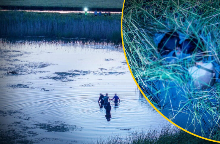 Pościg zakończony zatrzymaniem czterech migrantów - schowali się w trzcinach na środku stawu