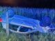 Młody kierowca spowodował wypadek po spożyciu alkoholu - auto dachowało