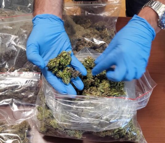 Małżeństwo zatrzymane za przestępstwa narkotykowe w Zielonej Górze